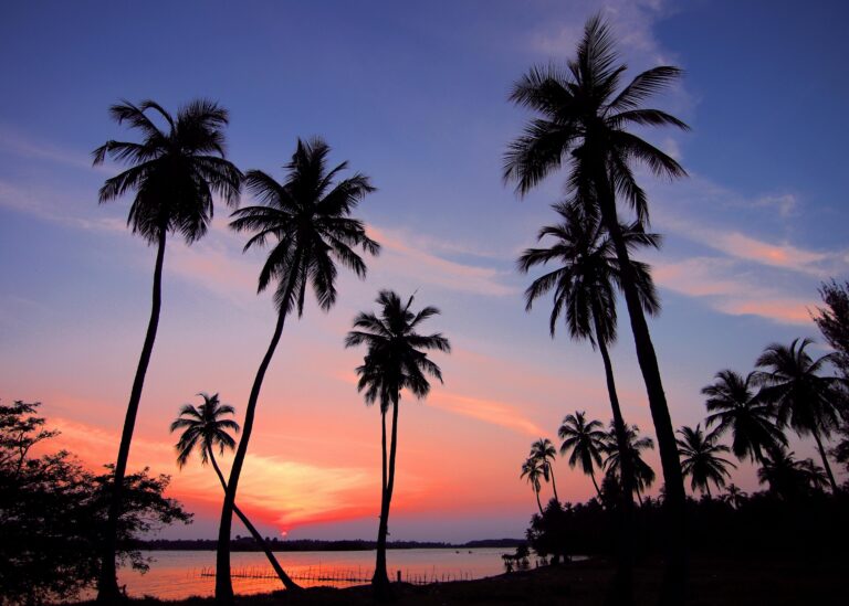 pexels pixabay 461940