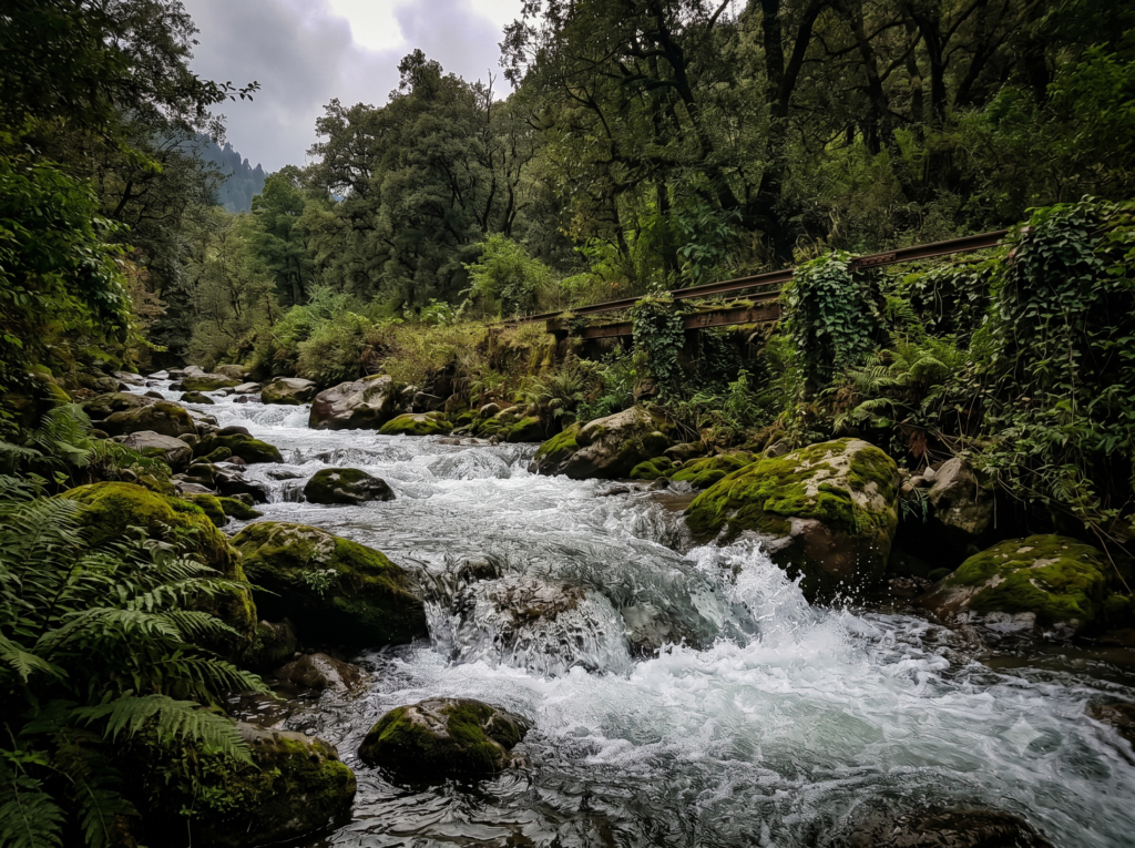The roaring waters of the Uhl River flowing through Barot Valley, a hidden gem among offbeat places in Himachal Pradesh for trout fishing