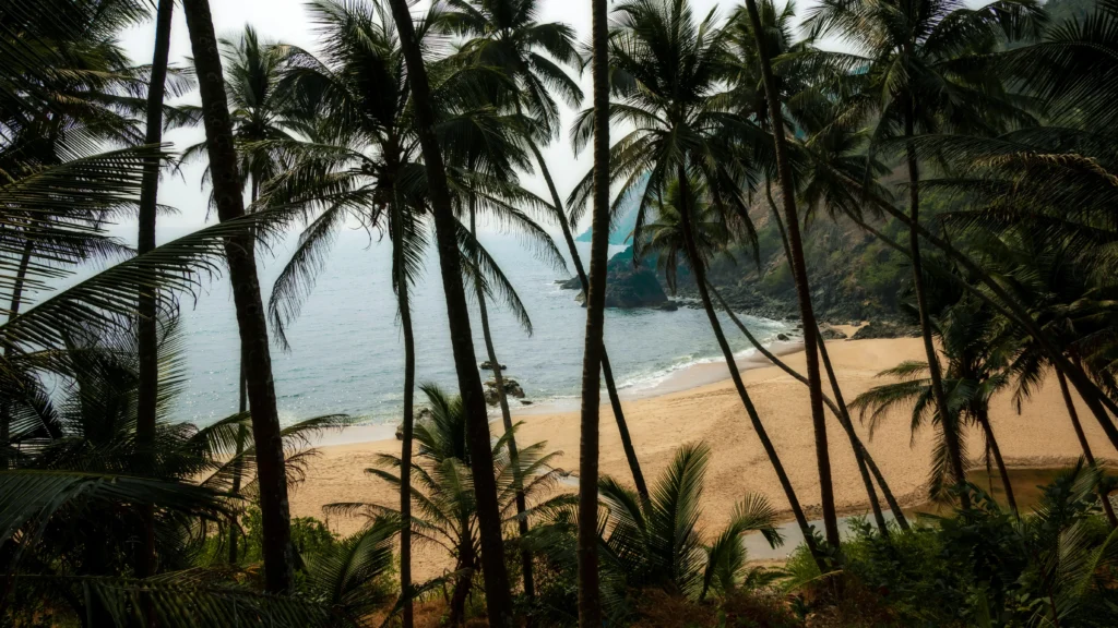 kakolem beach, places to visit in goa
