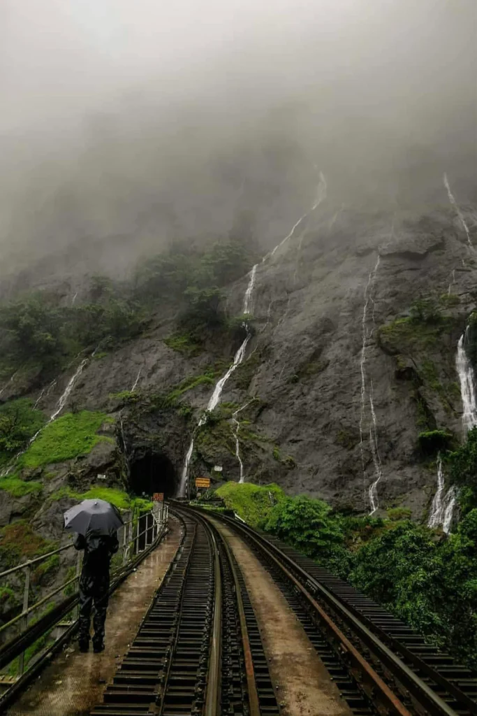 Top 10 places to visit in Goa - A forest 4x4 jeep safari route approaching Dudhsagar Waterfalls