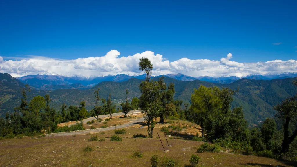 Offbeat places in Uttarakhand - Sprawling mountain tea gardens in Chaukori village