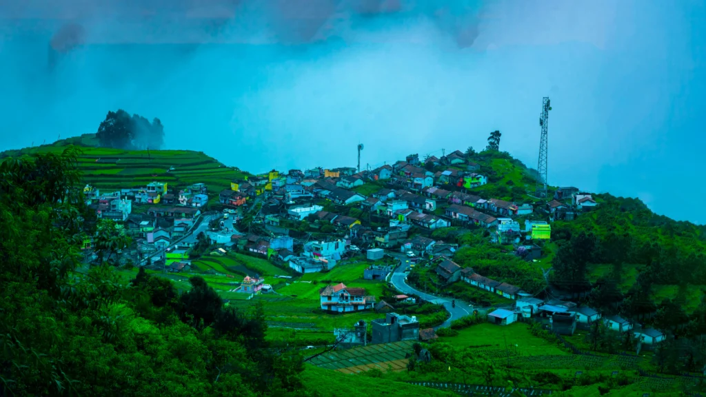 Foggy pine forests in Kodaikanal, a scenic hill station to visit in July